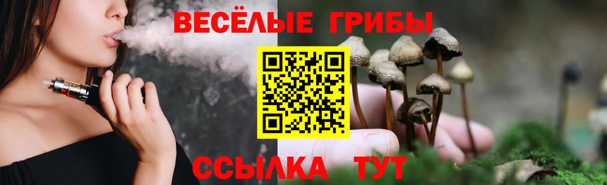 Псилоцибиновые грибы GOLDEN TEACHER Богданович