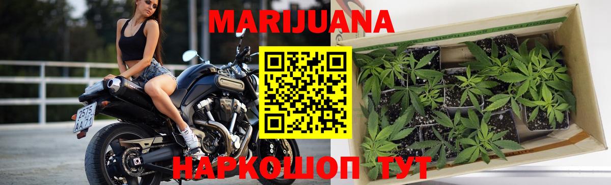 Каннабис марихуана  Шишки марихуана конопля  Богданович  Бошки Шишки сатива  Вход с VPN  Бошки марихуана Amnesia 